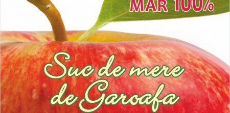 A fost lansat site-ul de prezentare si magazinul online – fangaro.ro