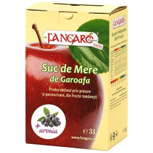 Suc de Mere si Aronia BiB 3 L