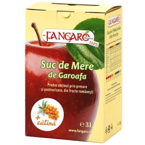 Suc de Mere si Catina BiB 3 L