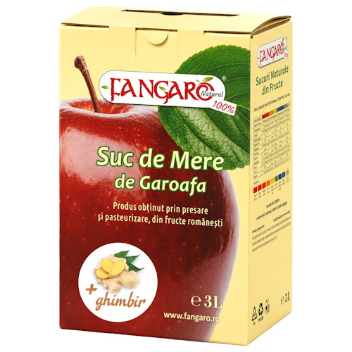 Suc de Mere si Ghimbir BiB 3 L