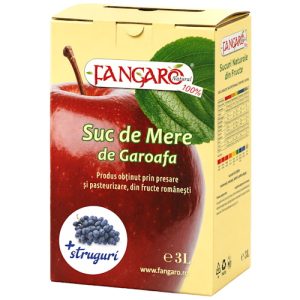 Suc de Mere si Struguri BiB 3 L