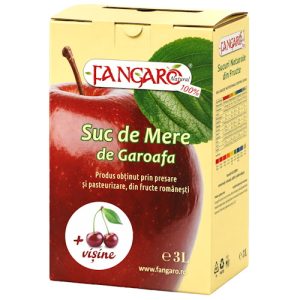Suc de Mere si Visine BiB 3 L